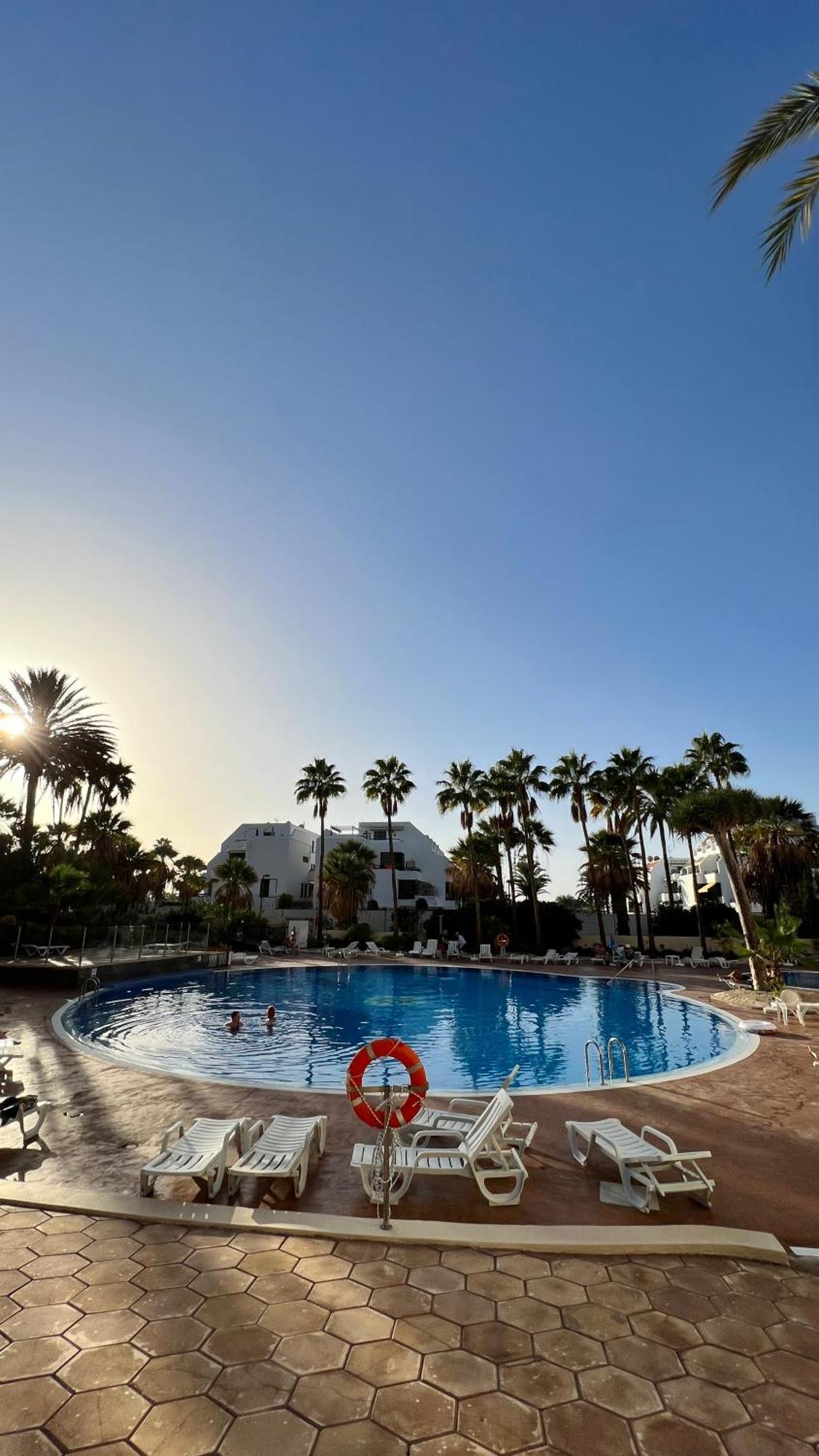 El Dorado - New Modern Apt Playa de las Américas Eksteriør billede